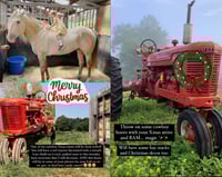 Christmas Farm Minis
