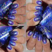 Image 5 of Clumsy Kitty