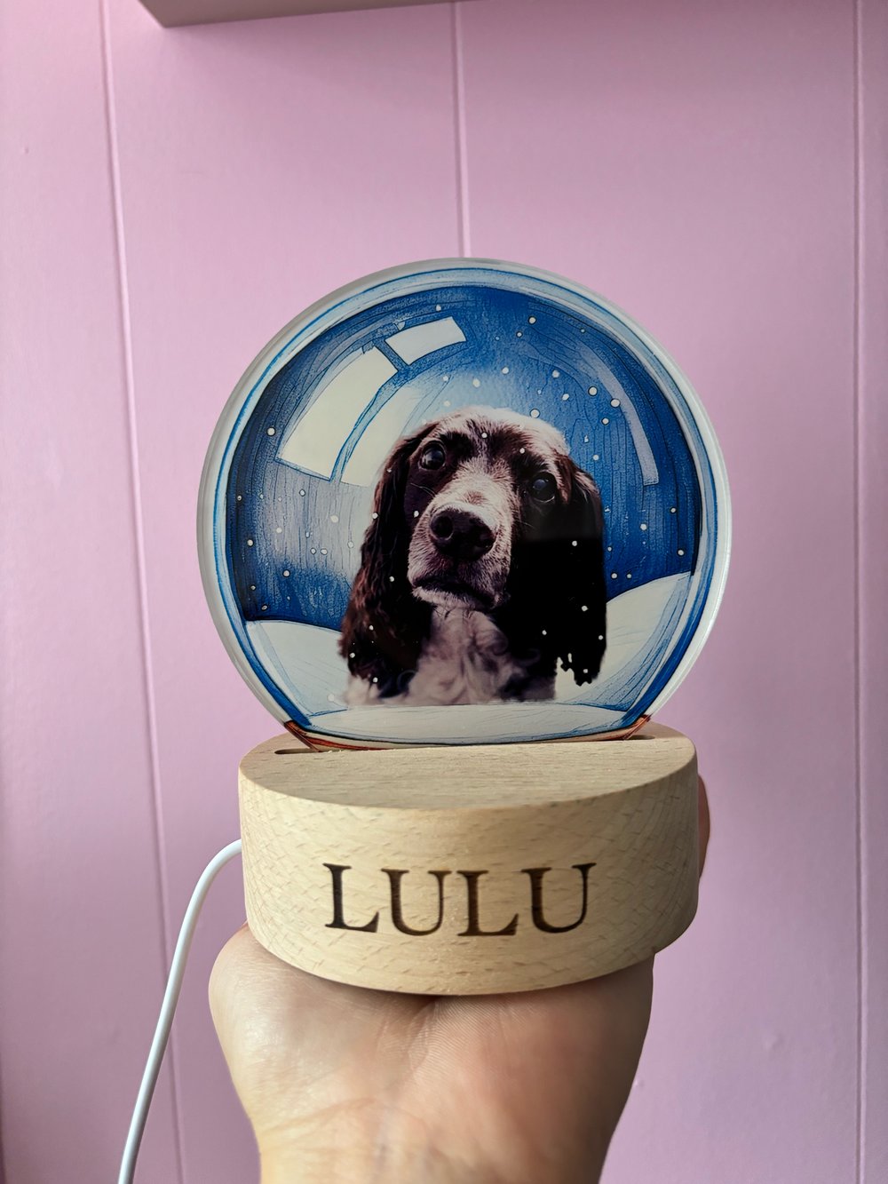 Image of Personalised Pet/loved ones snow globe