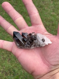 Image 11 of Smoky Quartz Points #1383