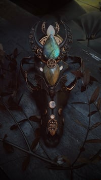 Image 11 of Spellbound adorned coyote skull 