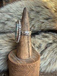 Image 2 of The Roaming Ridge