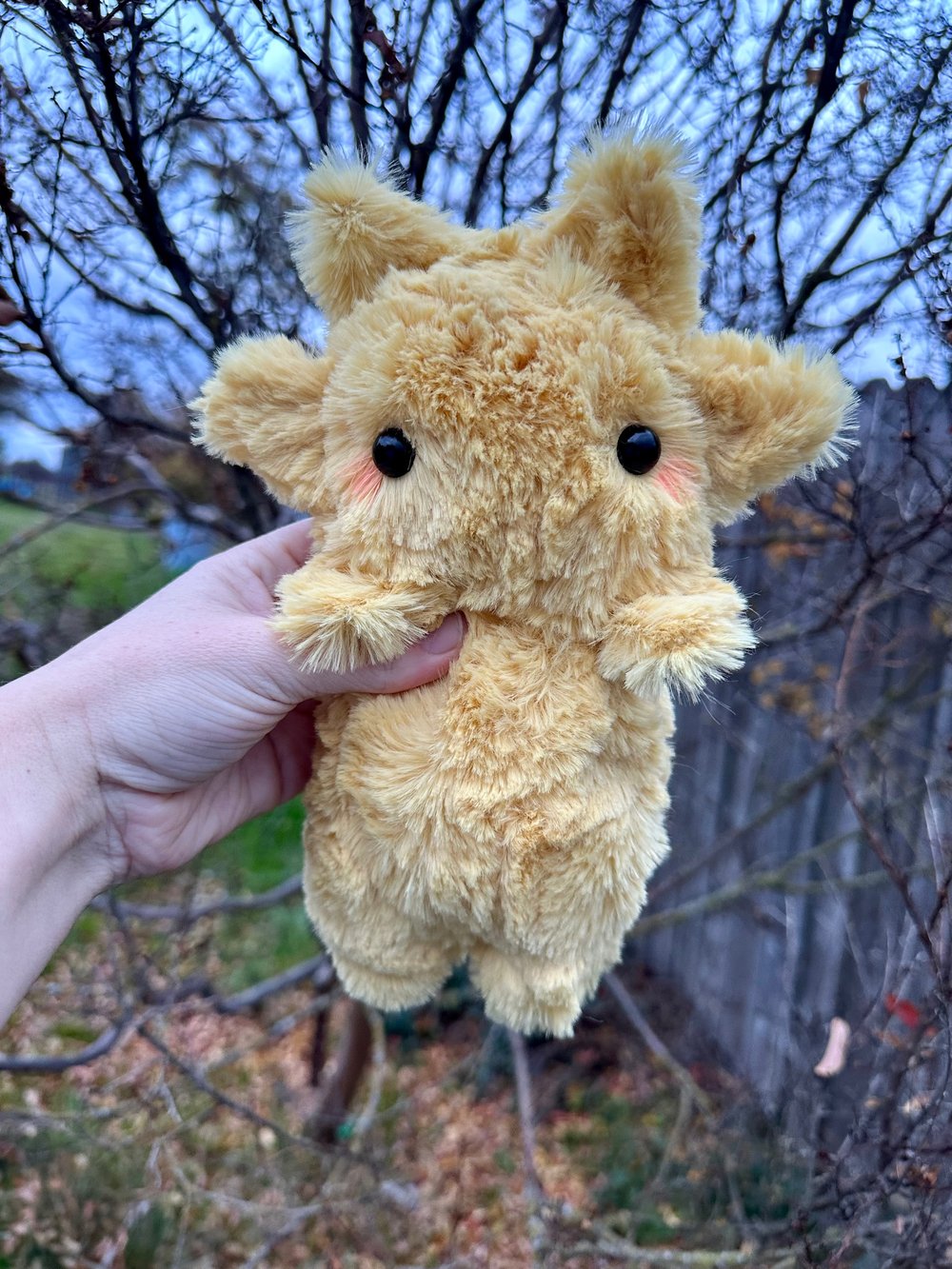 Image of Sun baby preorder