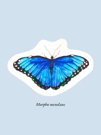 Image 14 of Stickers