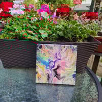 Image 2 of Dancing Delight 8x8"