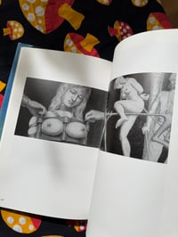 Image 9 of Angel Bondage,  KAZUTOMO FUJINO/AYAKO NAKAGAWA, 2002