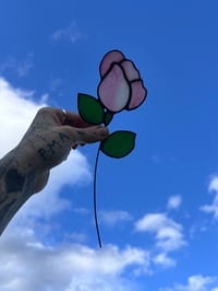 Rose Ornamental