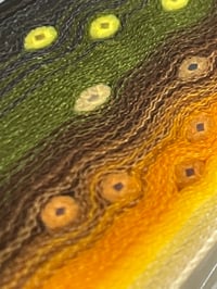 Image 6 of Bull Trout V2 by Mikie