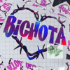 Bichota Bratz Holographic Decal