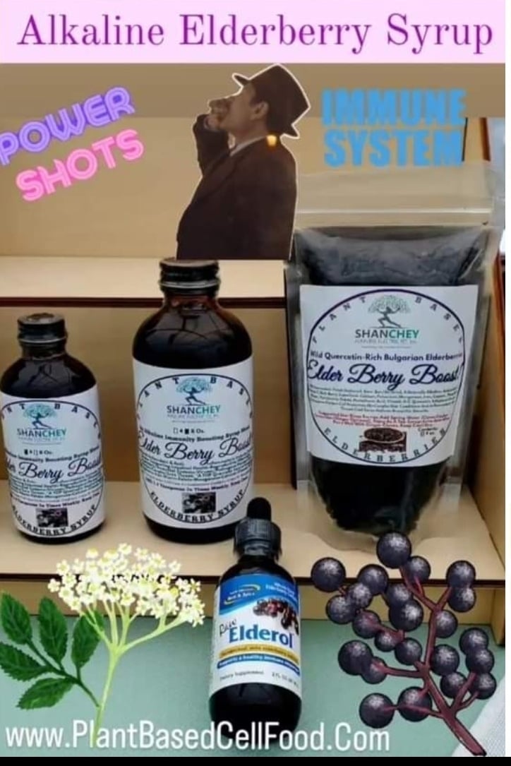 ELDER BERRY BOOST! Elderberries/Elderberry Syrup. Immunity-Herpes-Pathogens-Virus-Cell Protector-