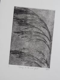 Image 4 of Blowing in the Wind Ghost 