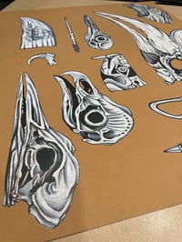 Image 5 of museum drawer