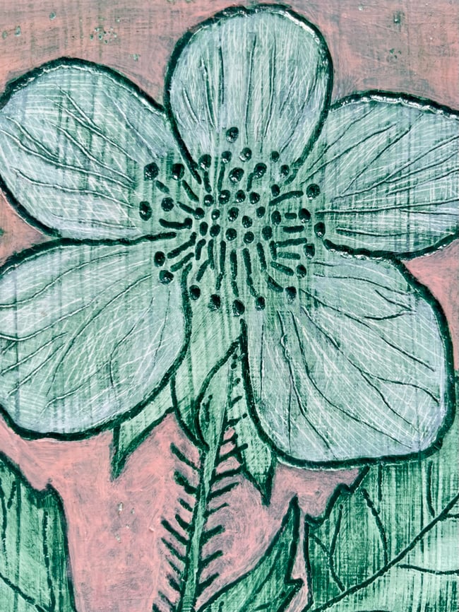 Black Raspberry Flower 