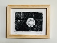 Image 4 of Dandelion clock woodcut prints 
