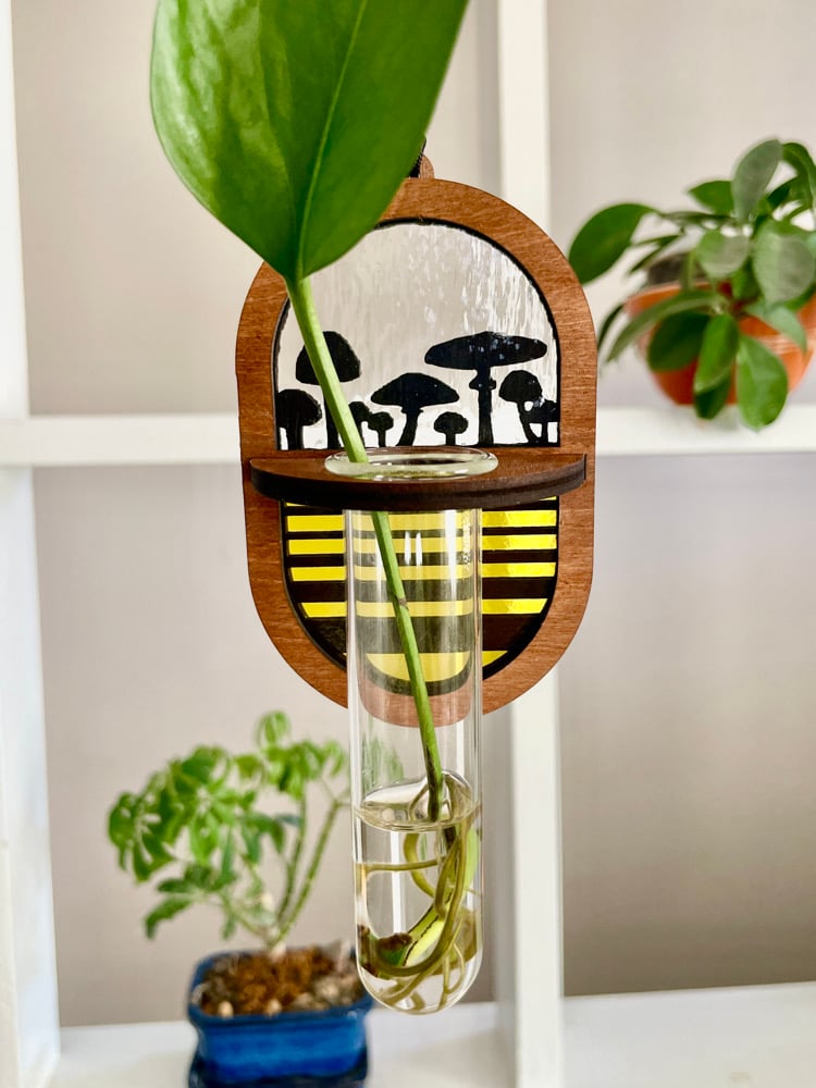 Propagation Station - Shroomin’