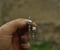 Image of Herz & Opal Ohrringe