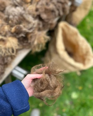 Image of HÅNDTEN spindedag, 8. marts 2026