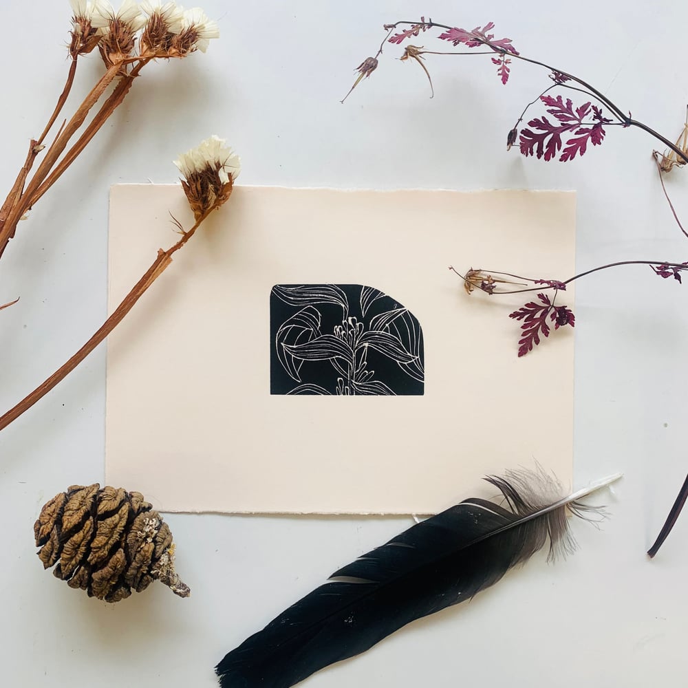 Image of Bird Of Paradise Flower On Cream Surrey Paper