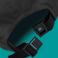 Image 2 of Five Panel