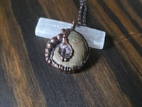 Image 4 of Ammonite #2