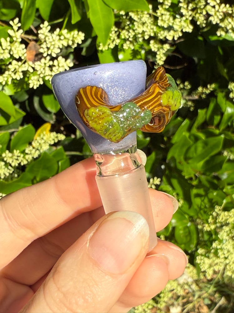 Image of Fantasy Forest 14 mm Slide  #2