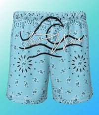 Image 6 of The Bandanna Collection 