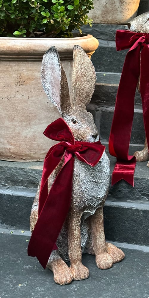 Image of Hare - Alert