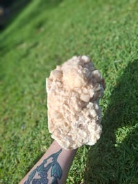 Image 5 of Apophyllite Cluster C