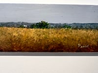 Image 6 of Relic- Bruce Peeso