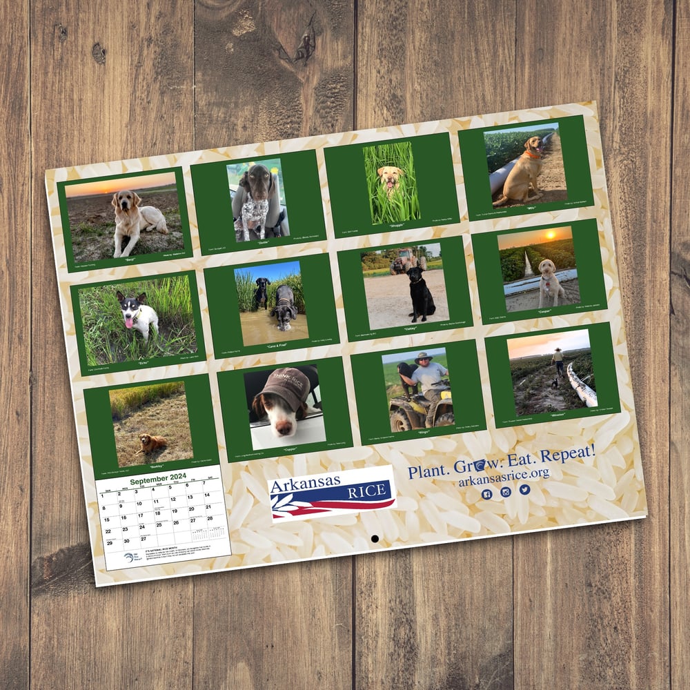2024 Arkansas Rice Farm Dog Calendar