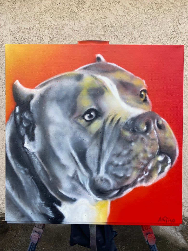 Image of Custom 20 x 20 inch Portrait 