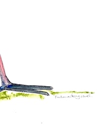 Image 4 of Seagull bird, original  coastal bird watercolor 