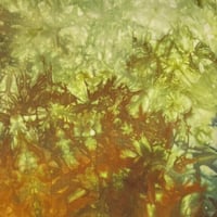 Image 1 of Solid - Orange Tie Dye