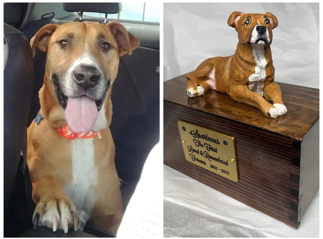 Custom Engraved Handpainted Pit Bull Urn For Ashes Pet Portrait To Your Photos Dragoo ArtWorks