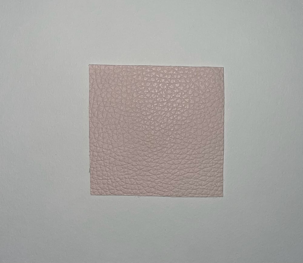 Image of The Charlotte/ Blush