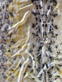Image 2 of Silk Scarf 006