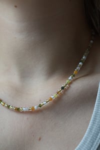 Image 4 of Tangerine Grove 