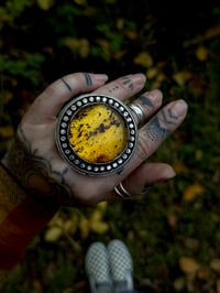 Image 1 of Large Amber Statement Piece~Choose Your Own Adventure