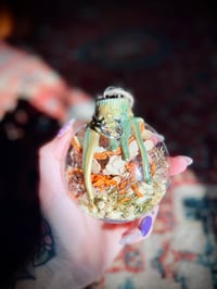 Image 2 of Spell Jar Ornament-Luck & Abundance