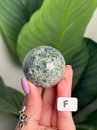 Image 6 of CHOOSE YOUR OWN MOSS AGATE SPHERE -INDIA- LOT 2