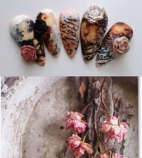 Image 1 of Junk Pages Set