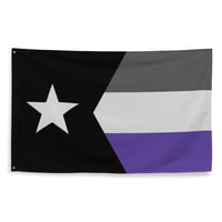 Minnesota First Avenue Fan Flag - Stars & Stripes (Silver)