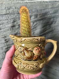Image 1 of Lady Finger Cactus in Vintage Green Creamer