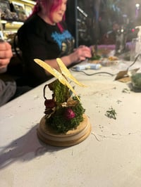 Image 5 of Terrarium Building Workshop Thurs 20th 5th March