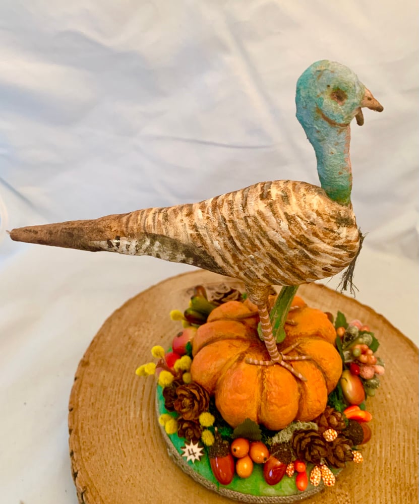 Image of Turkey Hen figure 4