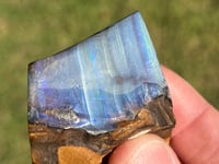 Image 6 of Boulder Opal Specimen #2073