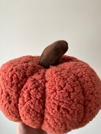 Image 5 of Fluffy pumpkin - Large.