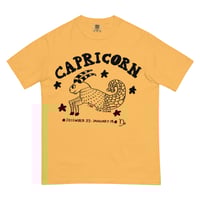 Image 1 of Capricorn