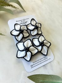 Image 3 of White and Black flowers 