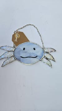Image 2 of Axolotl 3